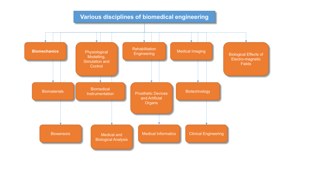 Program Overview Biomedical Engineering Buet