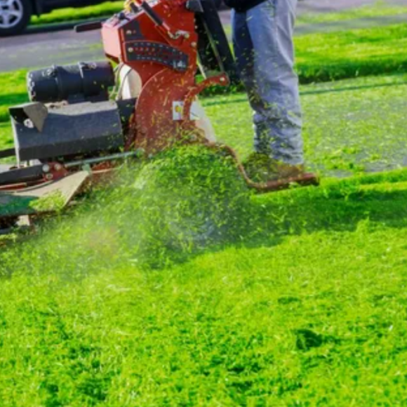 dgdsfgfd Lawn Mower Service Near Me | Limitless Landscaping